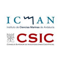 Image de la noticia